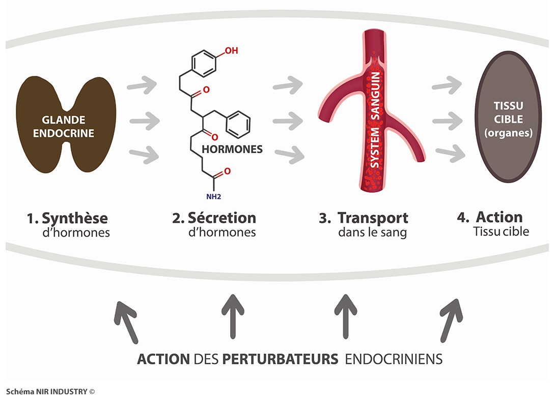 Danger : Exemples de produits et effets sur l'organisme